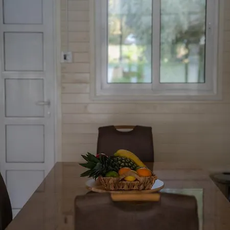 Splav Nala Apartment *